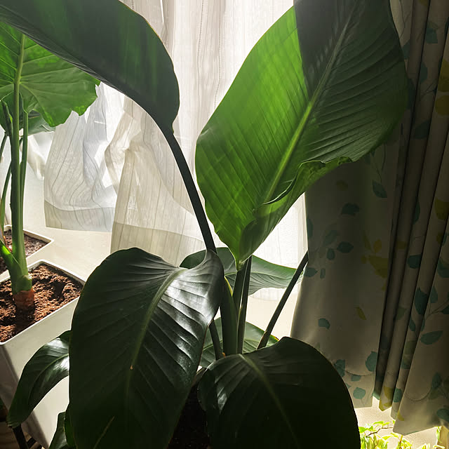 melodyさんの部屋