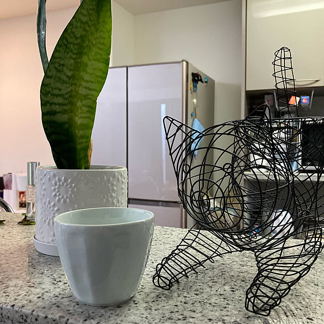 RoomClipアンケート/観葉植物/キッチンのインテリア実例 - 2022-02-03 08:38:55