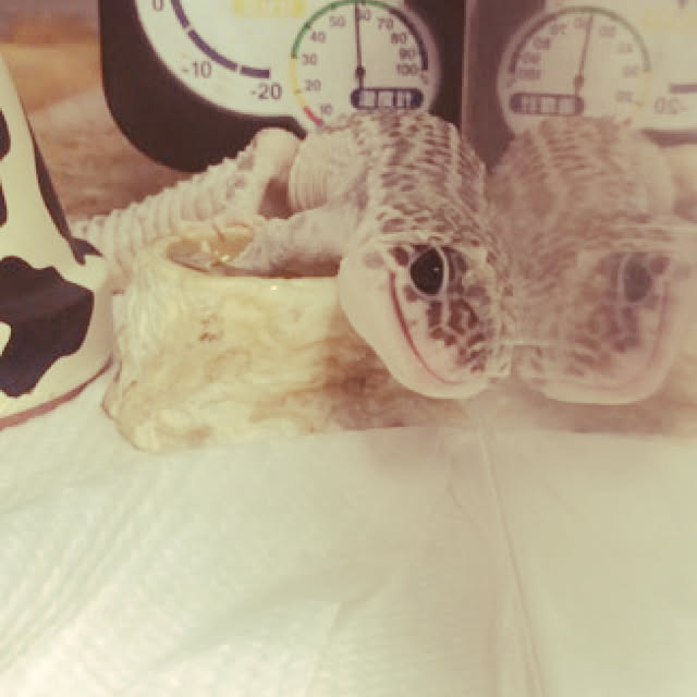 yanさんの実例写真