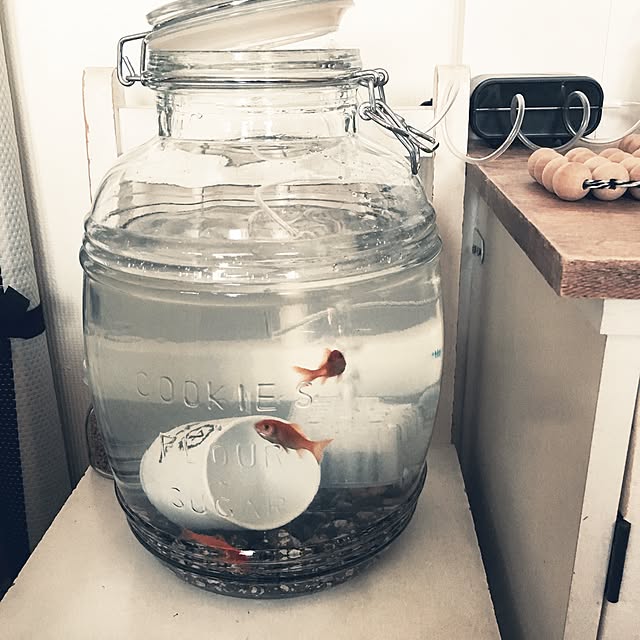 amipamaさんの実例写真
