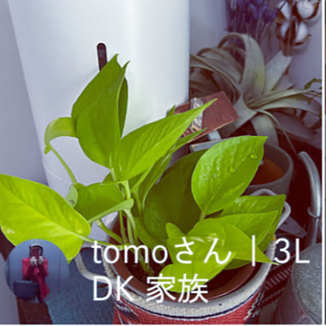 tomoさんの実例写真