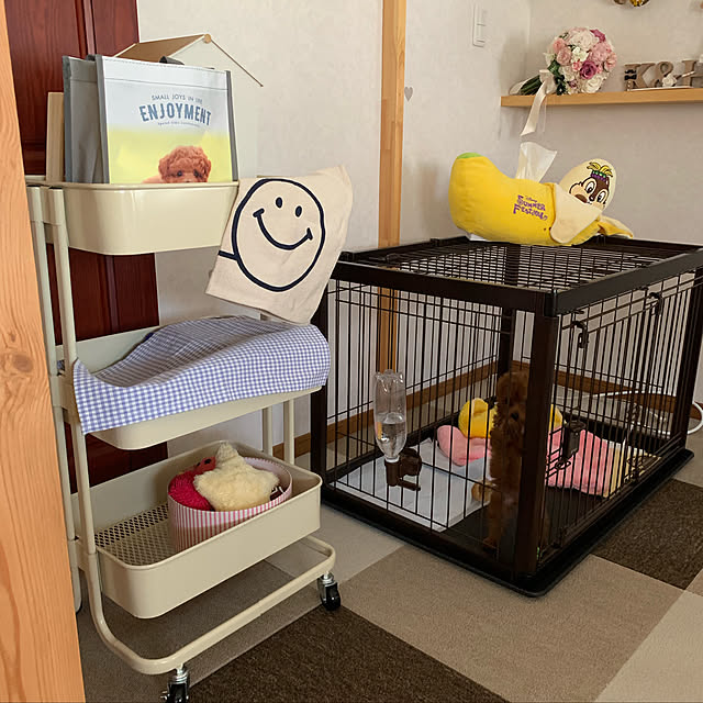 cocoaさんの実例写真