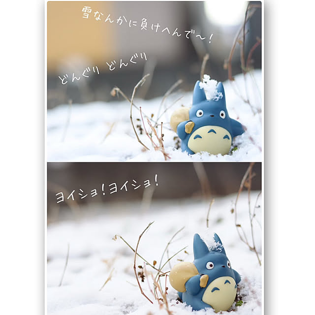 maiyukapiさんの実例写真