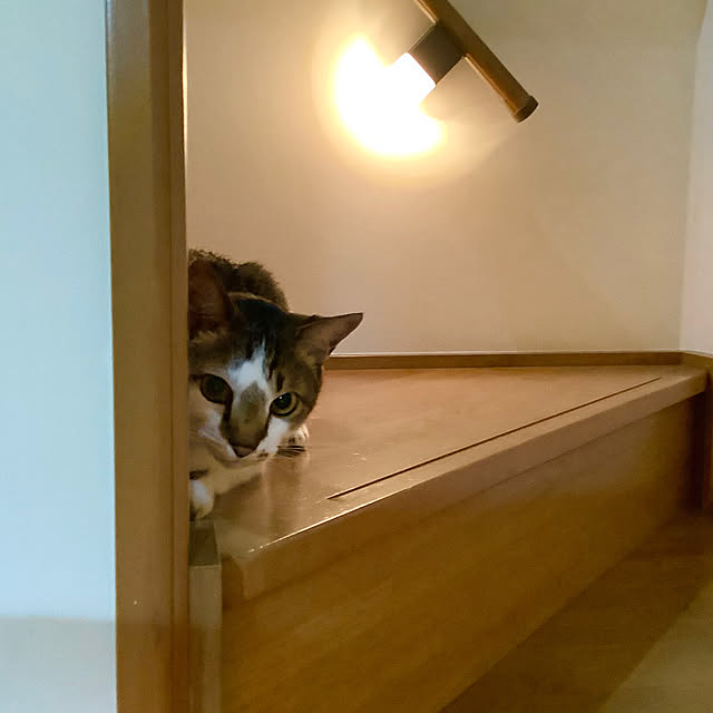 haruminさんの実例写真