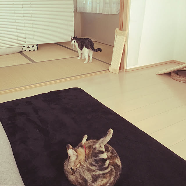 nomu2さんの実例写真