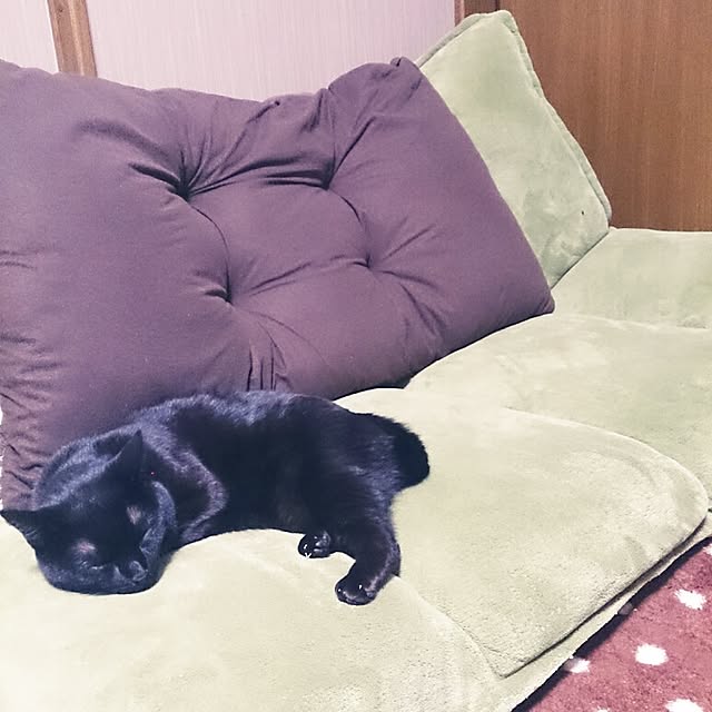 kuuaさんの実例写真