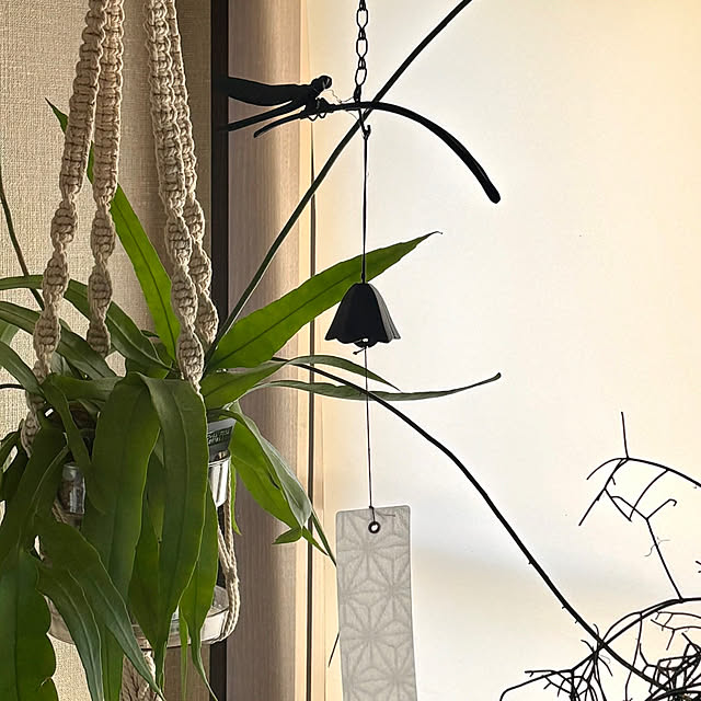 greycatsさんの部屋