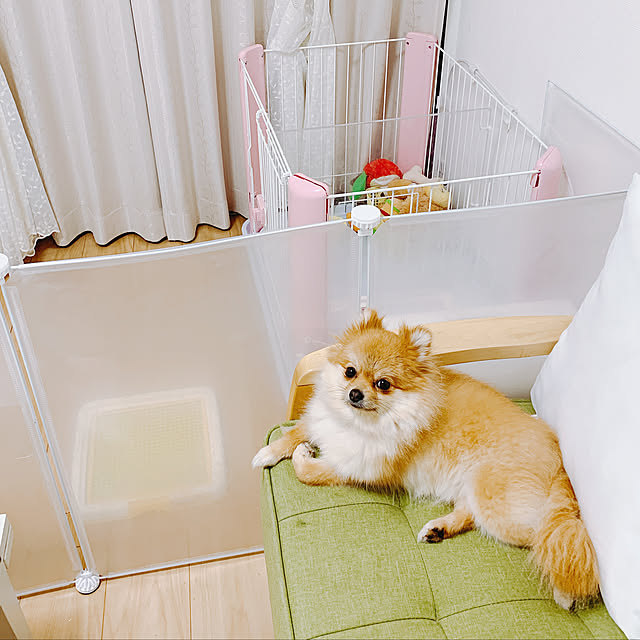 pancoさんの実例写真