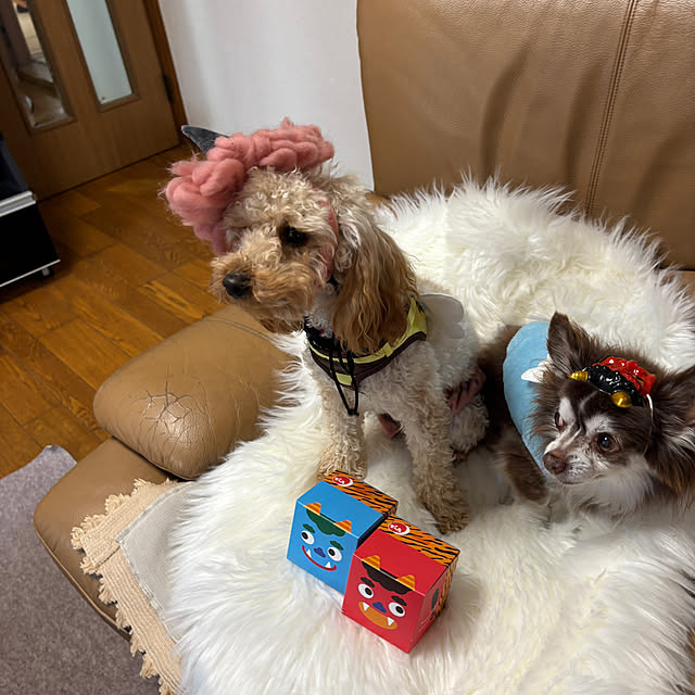 chIoeさんの部屋