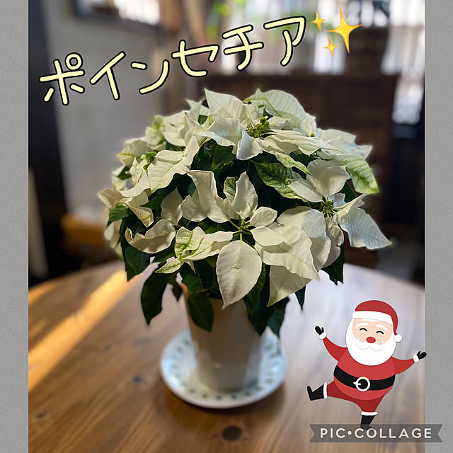 Smilkazuさんの実例写真