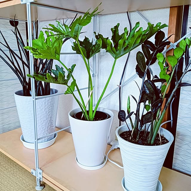 hanachanさんの部屋