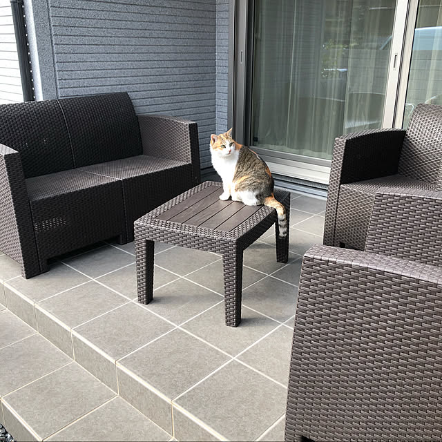 hiroさんの実例写真