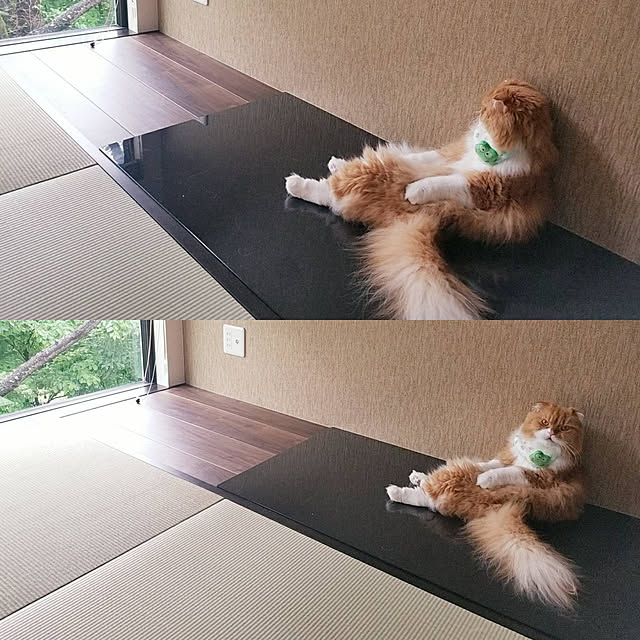 Arahimaさんの実例写真