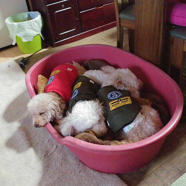 nontenrunさんの実例写真