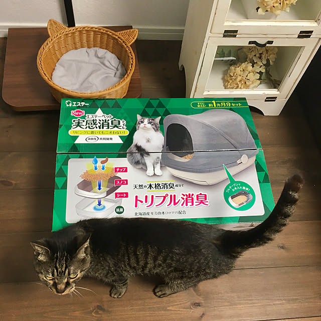 ayataroさんの実例写真