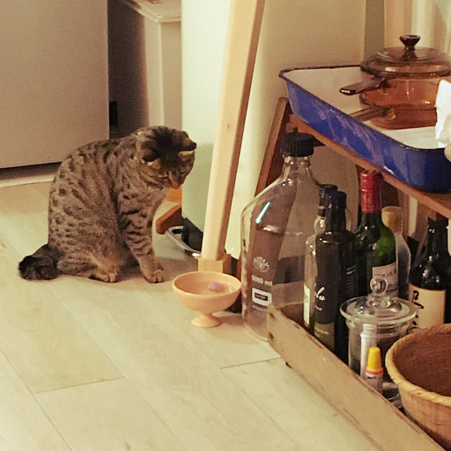Mさんの実例写真