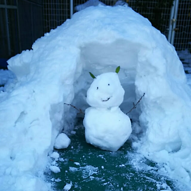 ...t_m_eee...さんの実例写真
