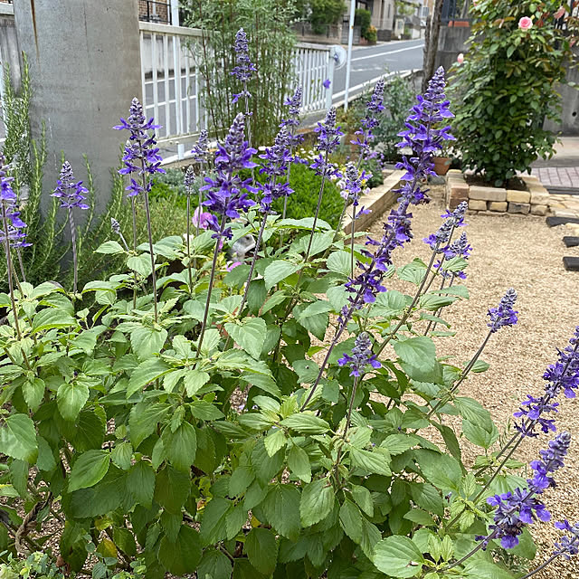 yuri.sさんの部屋