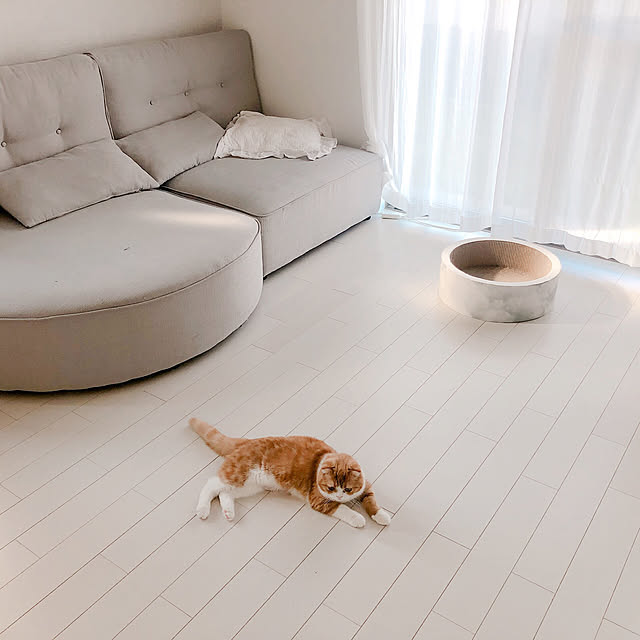 chamihomeさんの実例写真