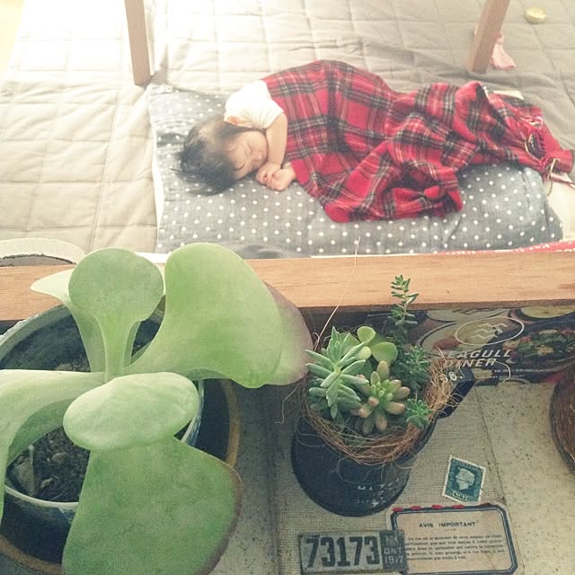 studio-fleurさんの実例写真