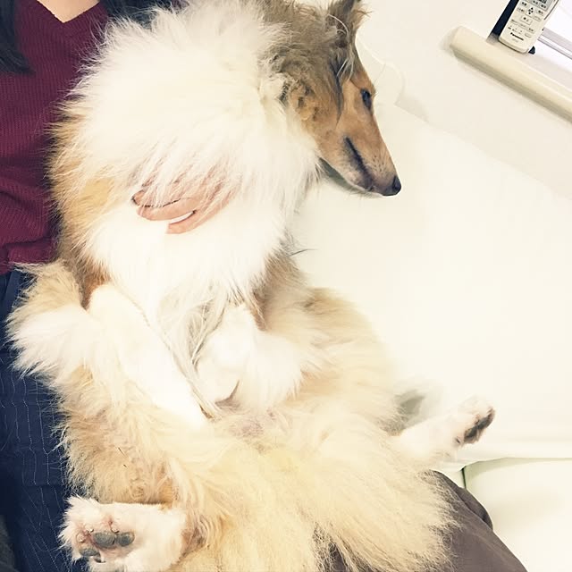 mimikikiさんの実例写真