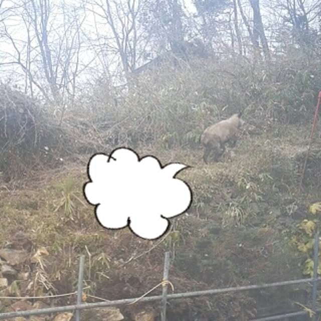 aiuekkoさんの実例写真