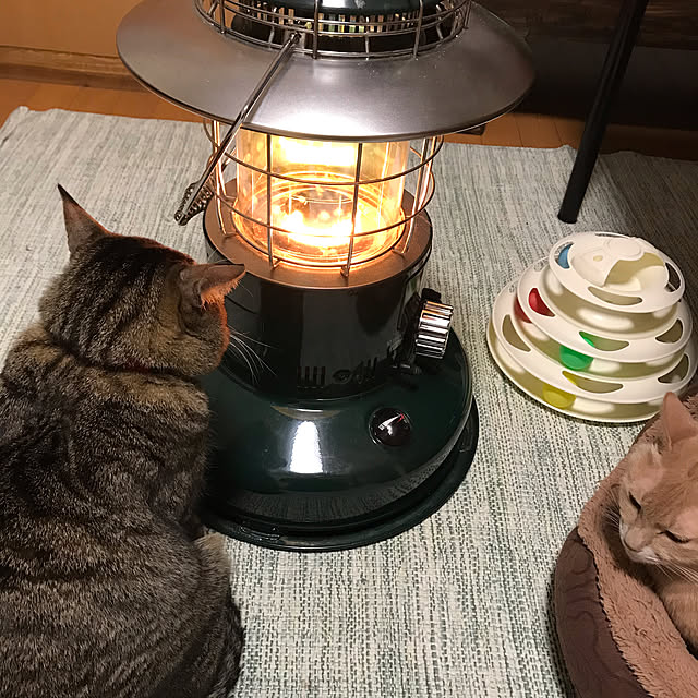 mikan161さんの実例写真