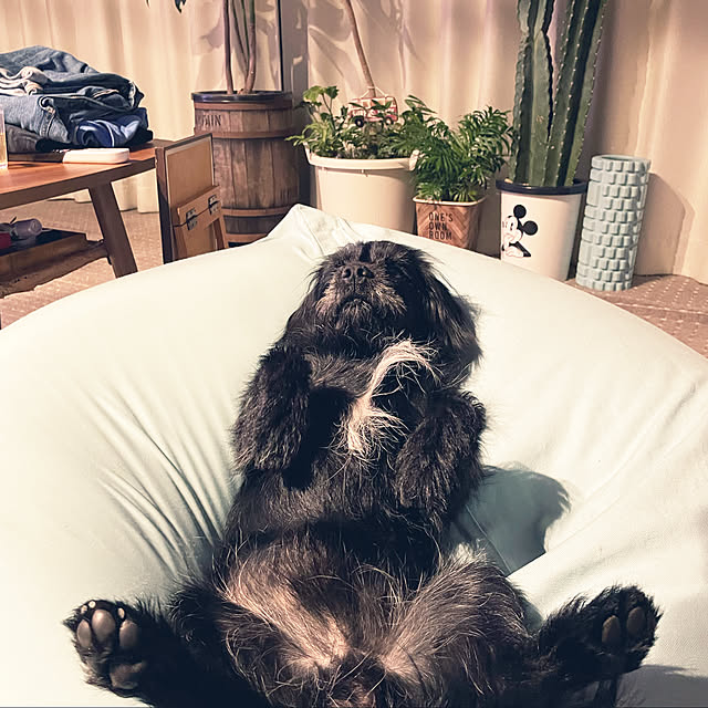 marinkoさんの実例写真