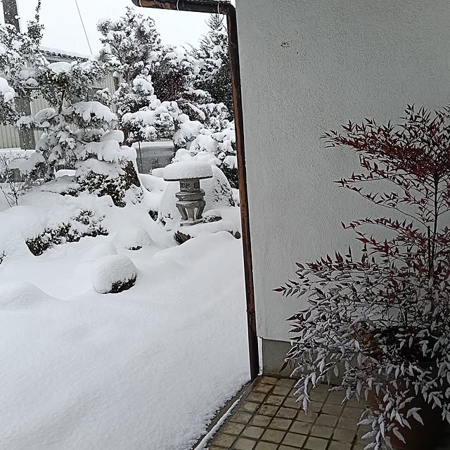 sumimarumiさんの部屋