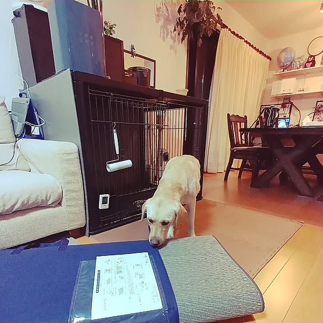 rabuさんの実例写真