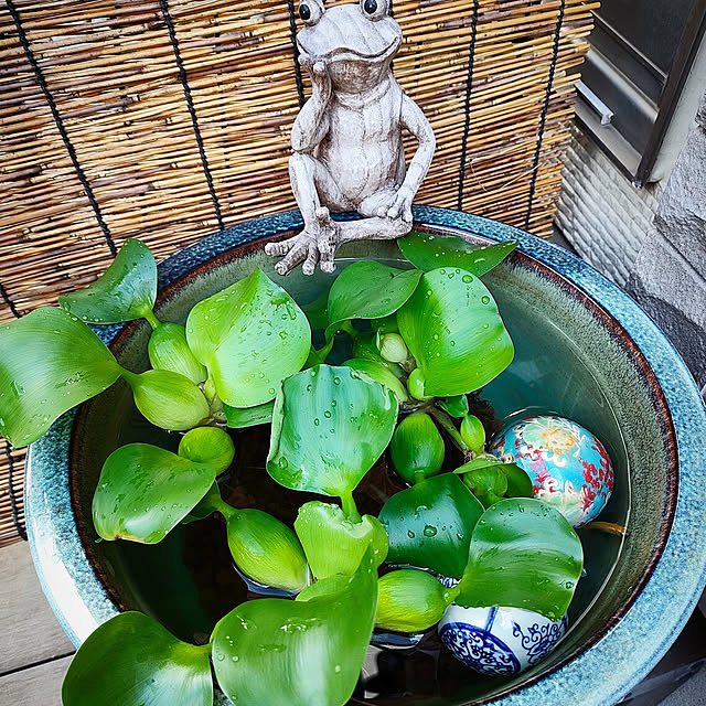 teamoさんの実例写真