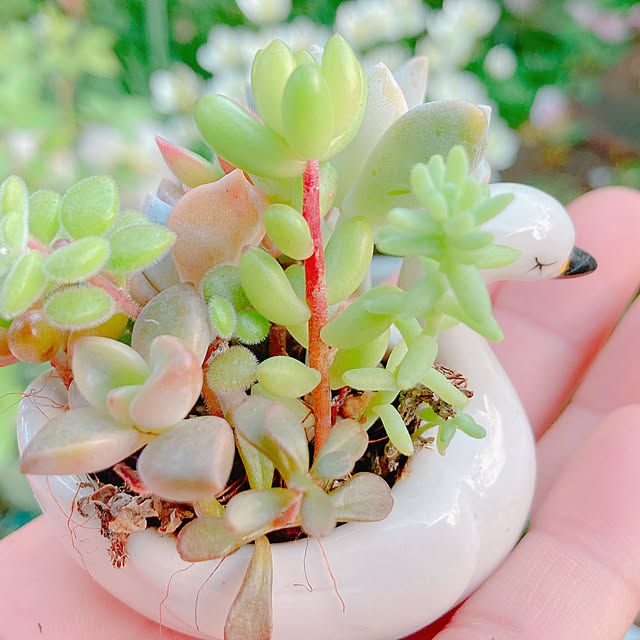 Hanakaさんの部屋