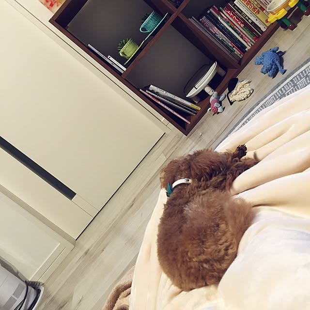 rarcmamaさんの実例写真