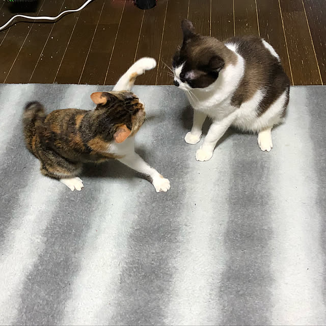vivienne.coco-keiさんの実例写真