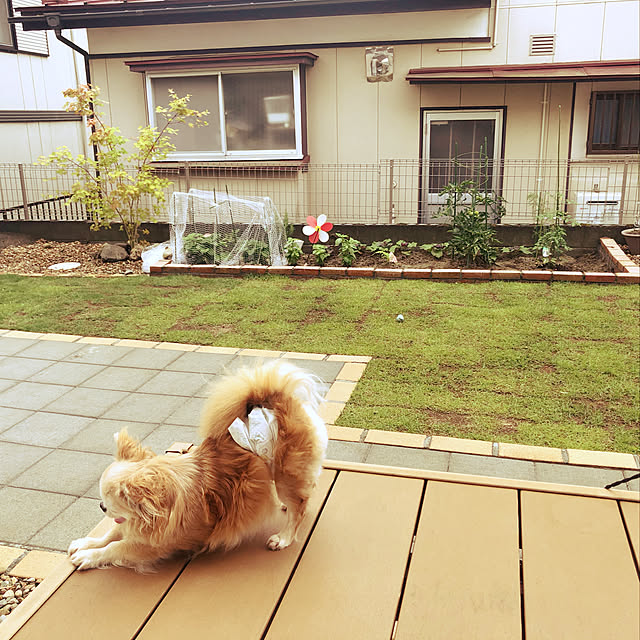 tukuponさんの実例写真