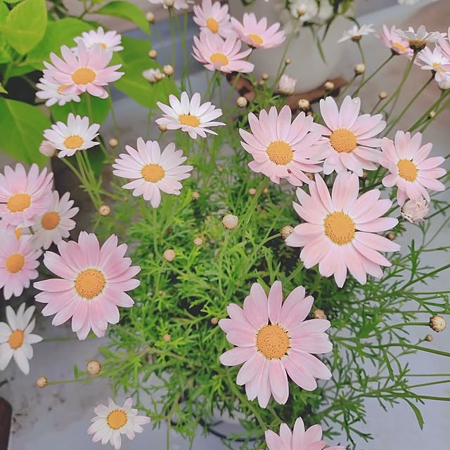 yukaさんの部屋