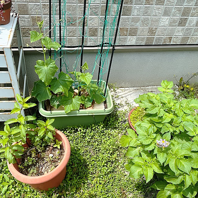 rizumu4649さんの部屋