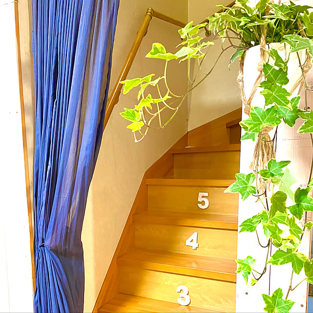 観葉植物/DIY/棚のインテリア実例 - 2022-05-03 20:08:46