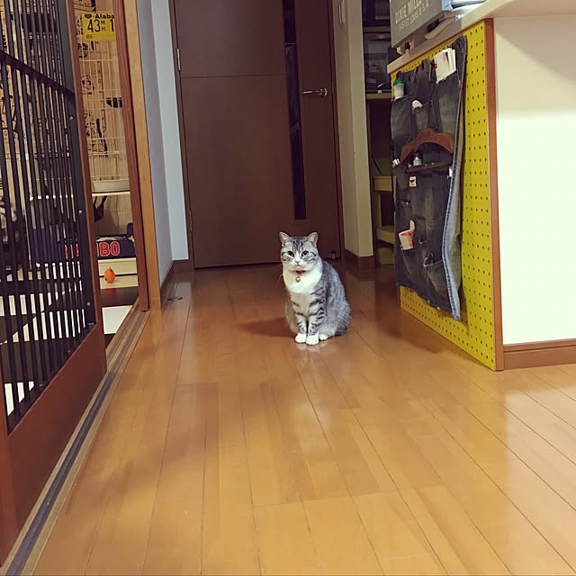 Shojiさんの実例写真
