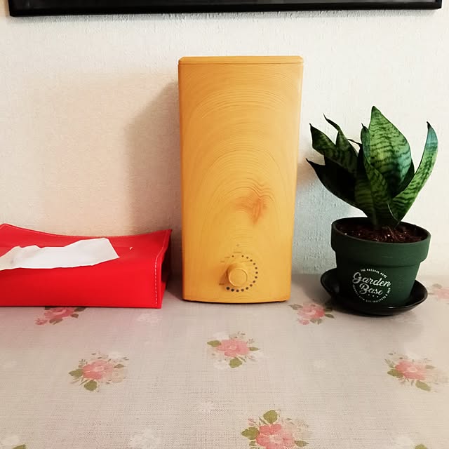 moruさんの部屋