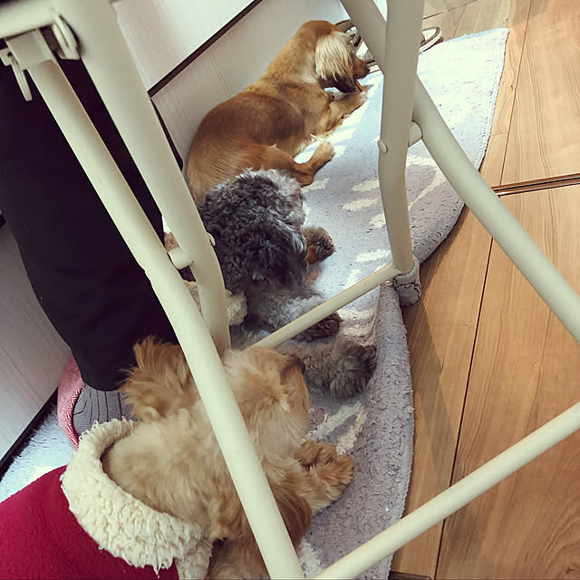 hideさんの実例写真