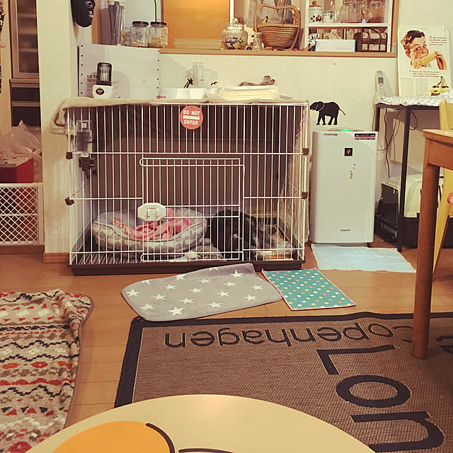 Mikaさんの実例写真
