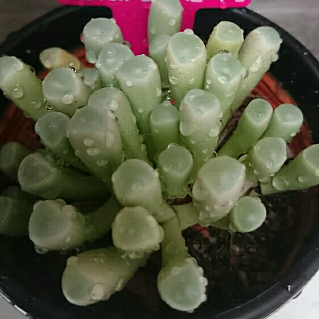 hideさんの実例写真