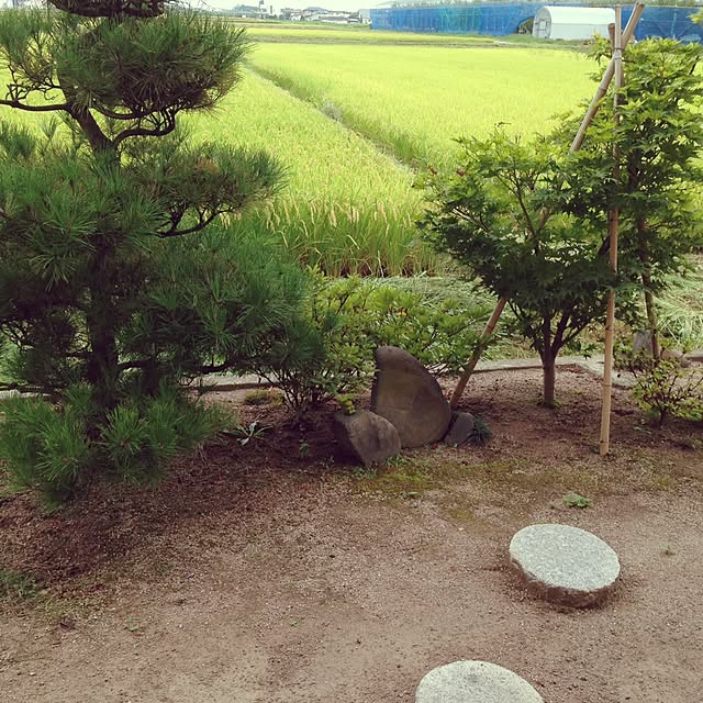 yukki-nattuさんの実例写真