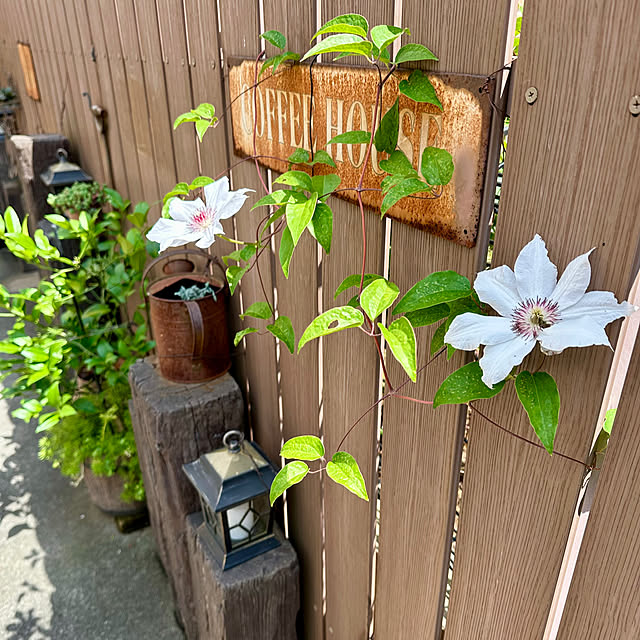 tabasaさんの実例写真