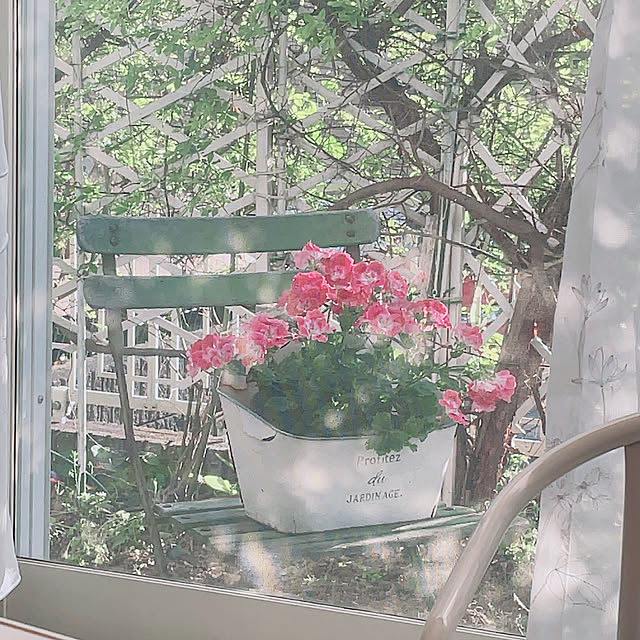 mikiponさんの実例写真
