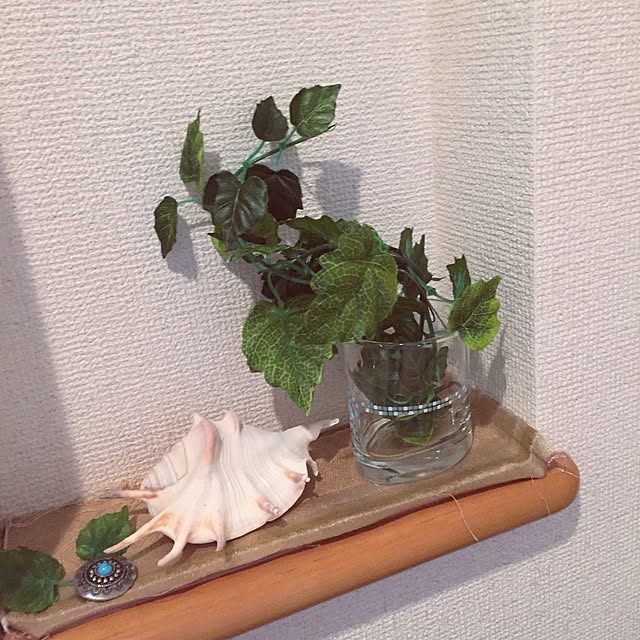 壁/天井のインテリア実例 - 2018-07-02 00:52:44