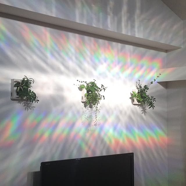 dannboko10さんの実例写真