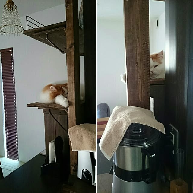 1ldksさんの実例写真