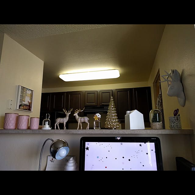 blinkie_003さんの実例写真